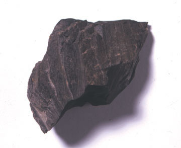 a piece of shale