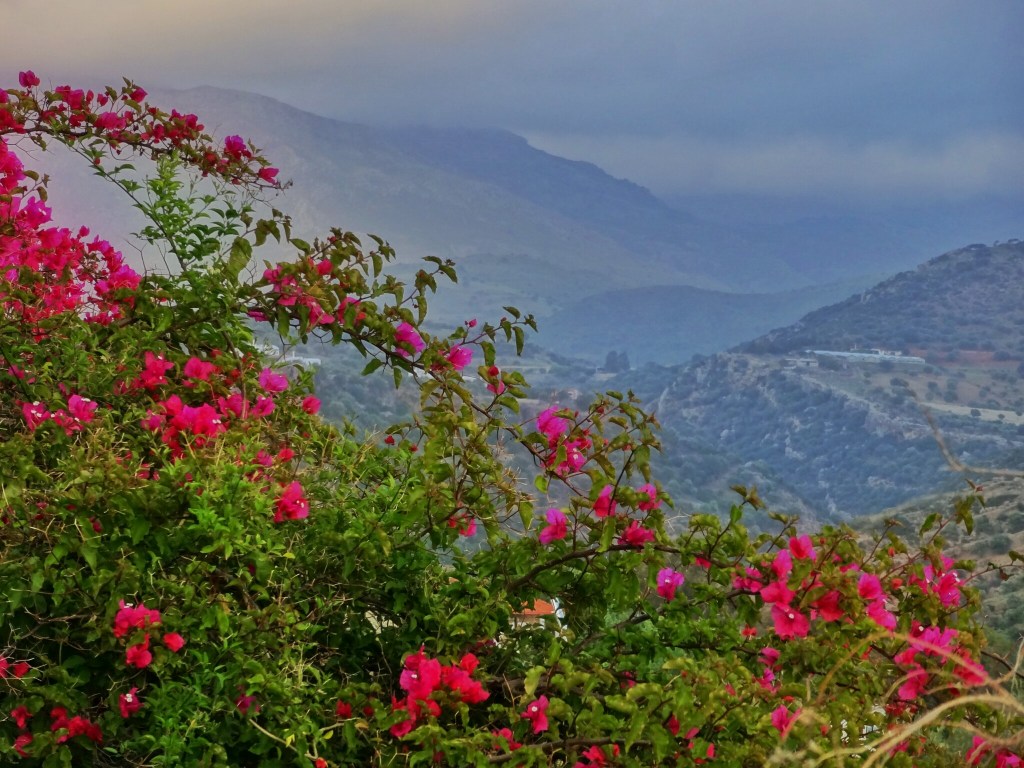 Crete mountains and flowers in May