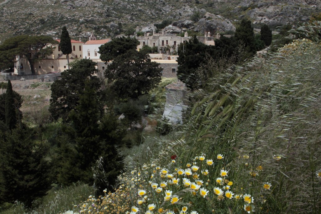 spring in southern Crete with blooming flowers